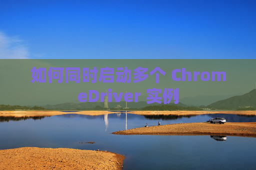 如何同时启动多个 ChromeDriver 实例