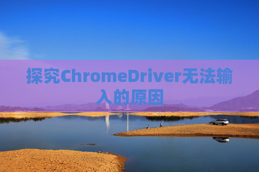 探究ChromeDriver无法输入的原因