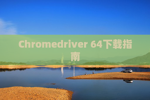 Chromedriver 64下载指南